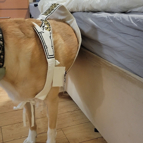 NEW Sass and Bide honourable friend embroidered beaded wedding harness dogs - Picture 5 of 8